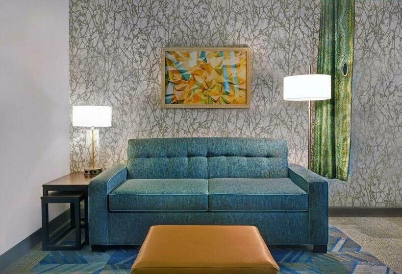 إستوديو ديلوكس, Home2 Suites By Hilton Lawrenceville Atlanta Sugarloaf, Ga