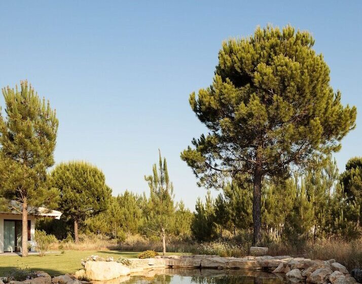 スリーベッドルーム　ヴィラ, Spatia Comporta