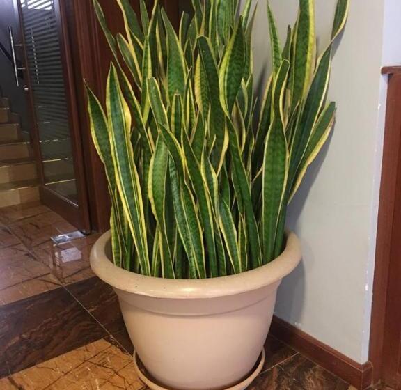 اتاق استاندارد, Summit Lodge