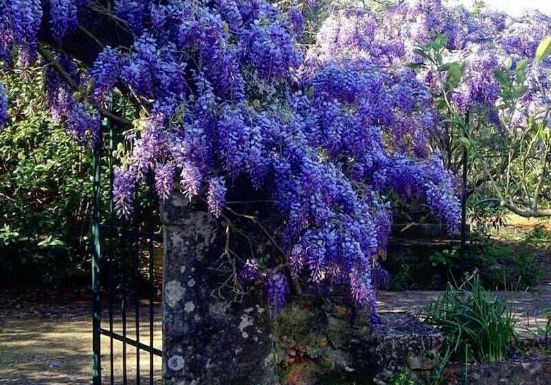 اتاق استاندارد, Gentilini Retreat