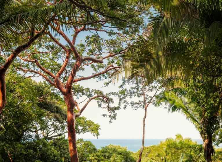 빌라 침실 1개, One&only Mandarina