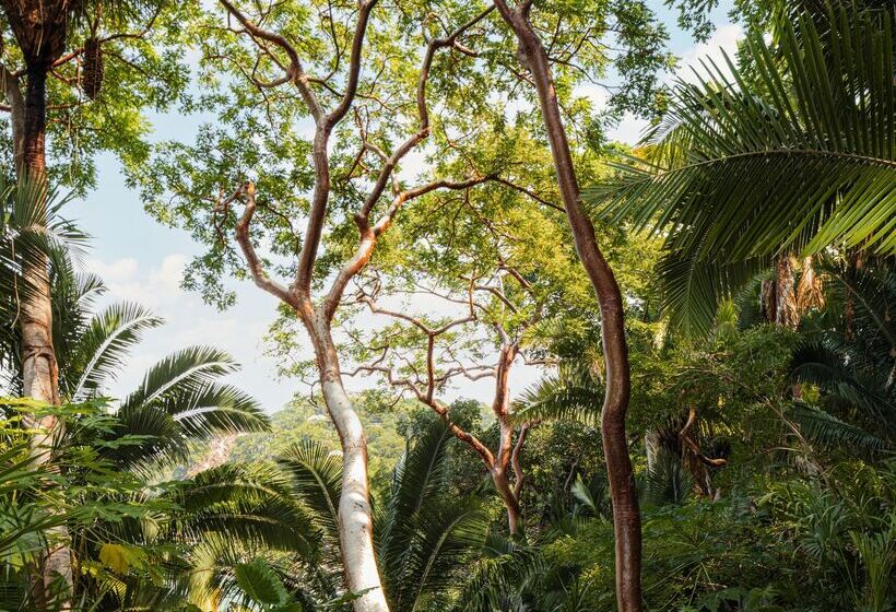 빌라 침실 1개, One&only Mandarina