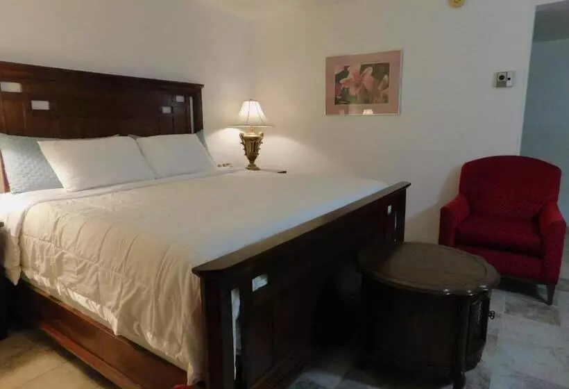 اتاق استاندارد با تخت بزرگ, Drifter Motel