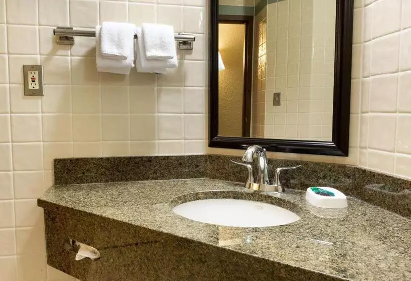 اتاق لوکس با تخت بزرگ, Drury Inn & Suites San Antonio Riverwalk