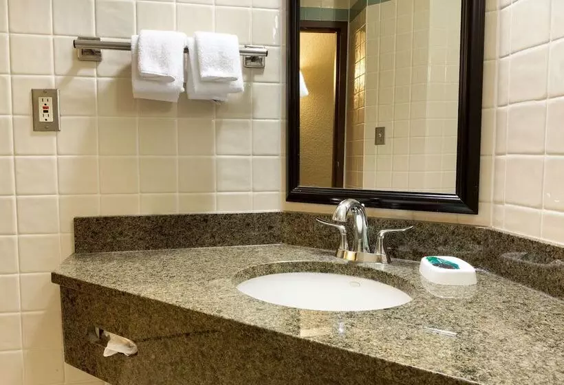 اتاق لوکس, Drury Inn & Suites San Antonio Riverwalk