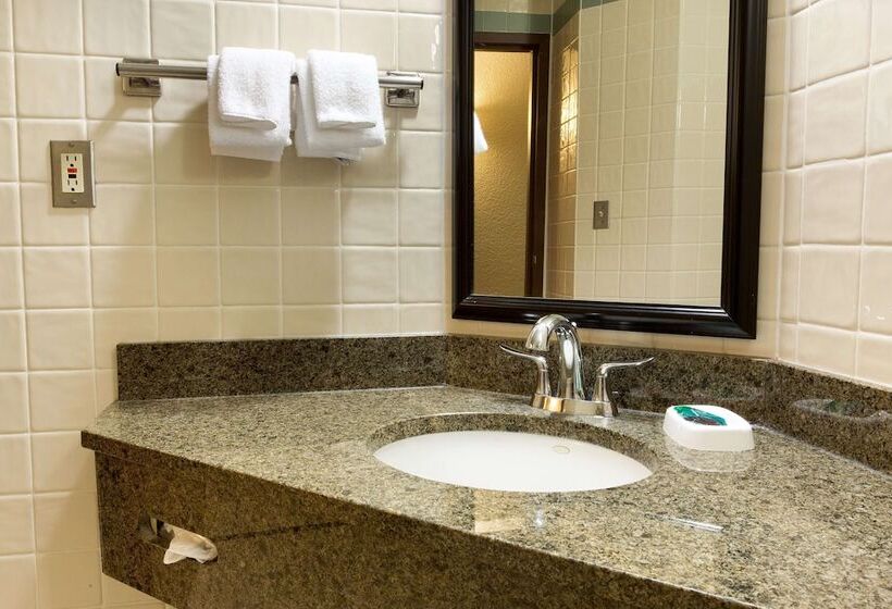 Habitació Deluxe amb Terrassa, Drury Inn & Suites San Antonio Riverwalk
