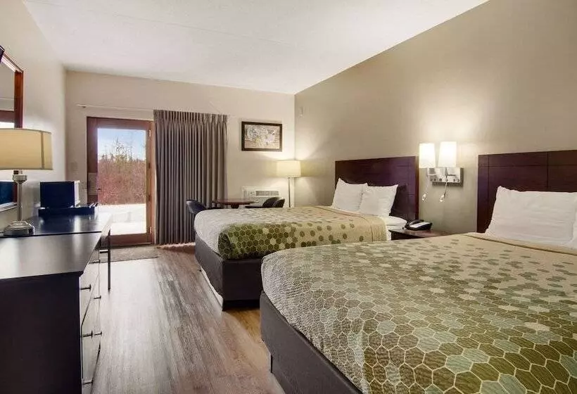 ２ダブルベッドのスタンダードルーム, Econo Lodge Cadillac