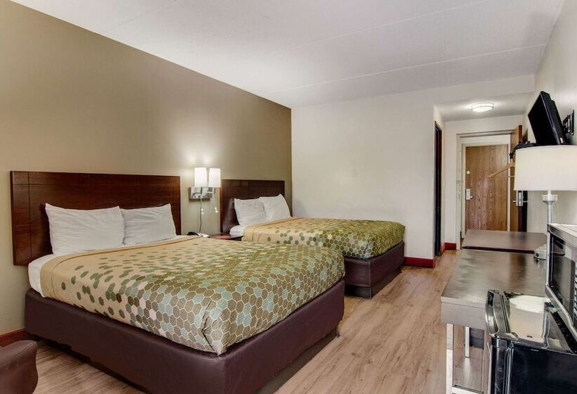 带2个双人床的标准工作室, Econo Lodge Cadillac
