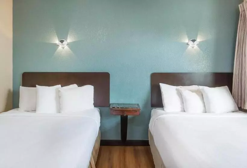 اتاق استاندارد چهار تخته, Avenida Oceanside Camp Pendleton
