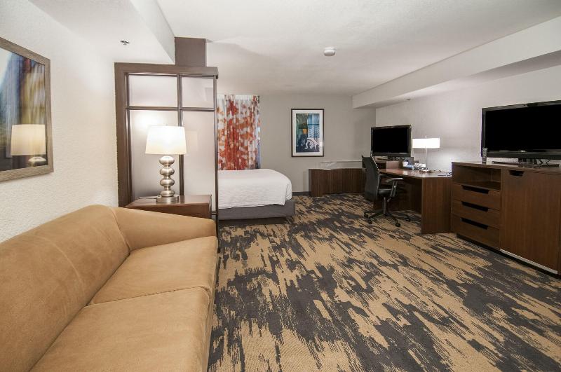 إستوديو قياسى سرير كينج, Fairfield Inn & Suites By Marriott Dallas Dfw Airport South/irving