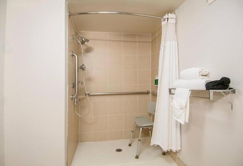 غرفة قياسية سرير كينج, Fairfield Inn & Suites By Marriott Dallas Dfw Airport South/irving