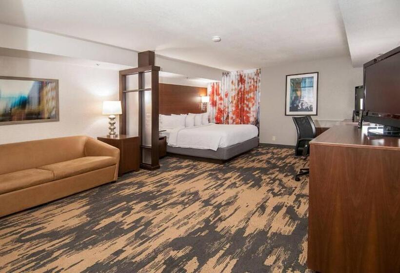 إستوديو قياسى سرير كينج, Fairfield Inn & Suites By Marriott Dallas Dfw Airport South/irving