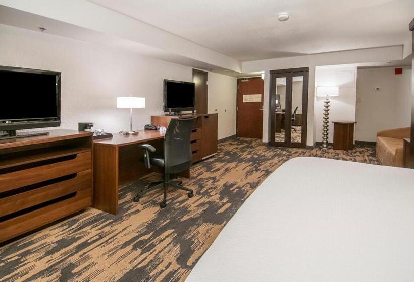 إستوديو قياسى سرير كينج, Fairfield Inn & Suites By Marriott Dallas Dfw Airport South/irving