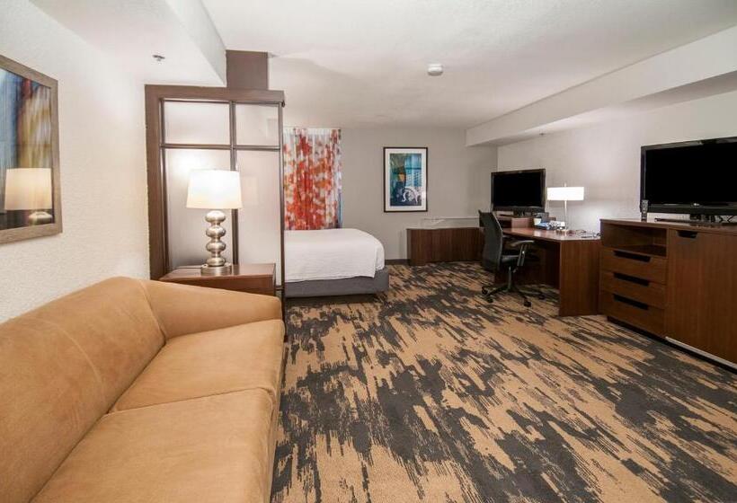 إستوديو قياسى سرير كينج, Fairfield Inn & Suites By Marriott Dallas Dfw Airport South/irving