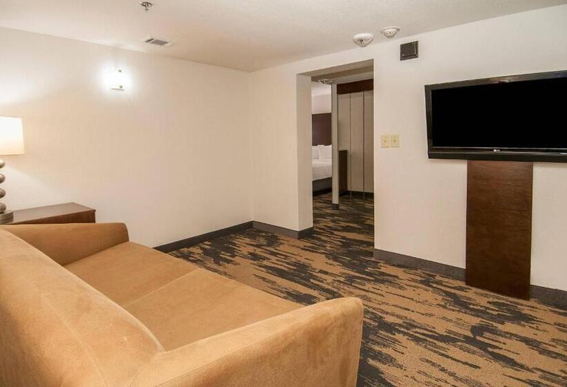 إستوديو قياسى, Fairfield Inn & Suites By Marriott Dallas Dfw Airport South/irving