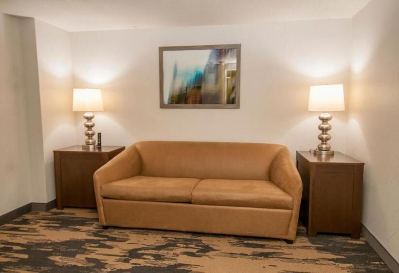 جناح سرير كينج, Fairfield Inn & Suites By Marriott Dallas Dfw Airport South/irving