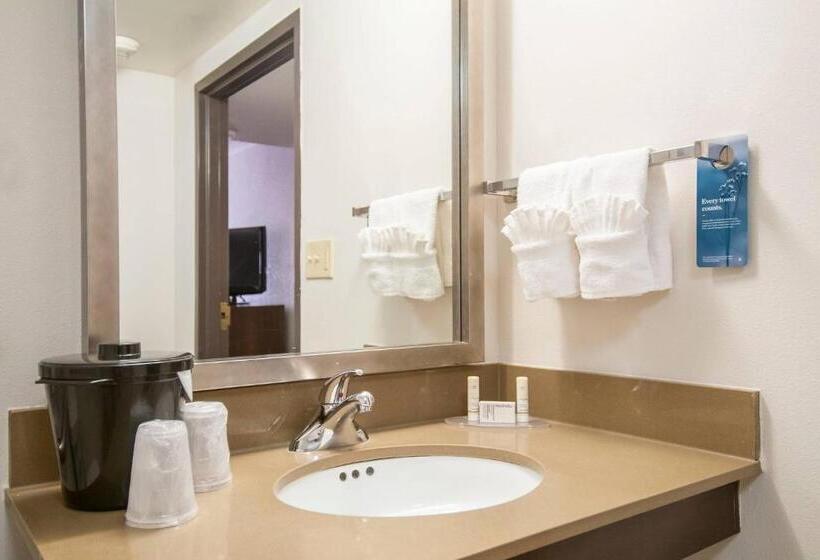 غرفة ديلوكس لذوى الاحتياجات الخاصة, Fairfield Inn & Suites By Marriott Dallas Dfw Airport South/irving