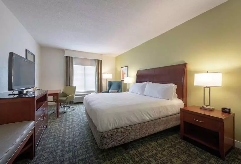 سوییت, Hilton Garden Inn Meridian