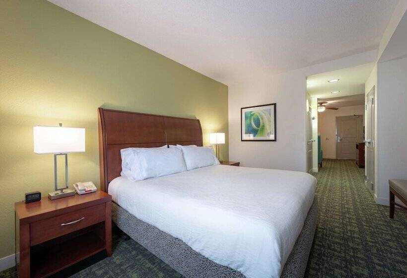 سوییت, Hilton Garden Inn Meridian
