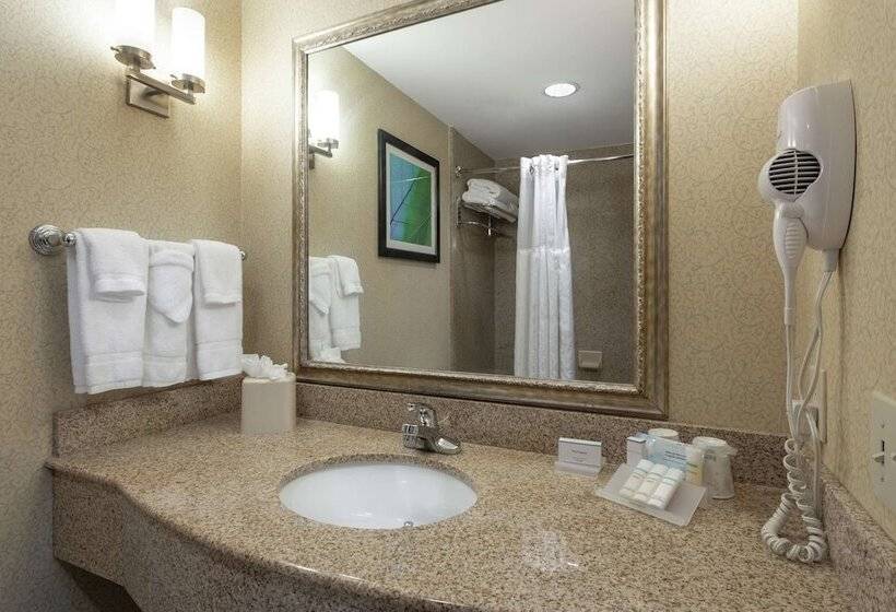 Номер Стандарт, Hilton Garden Inn Meridian
