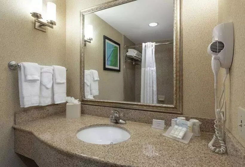 اتاق استاندارد, Hilton Garden Inn Meridian
