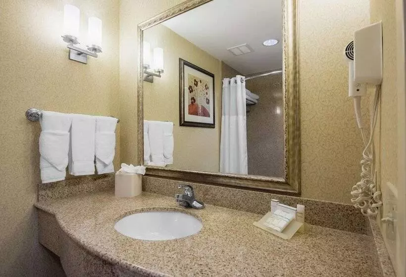 اتاق استاندارد, Hilton Garden Inn Meridian