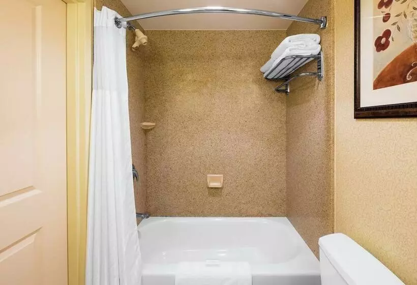 اتاق استاندارد, Hilton Garden Inn Meridian