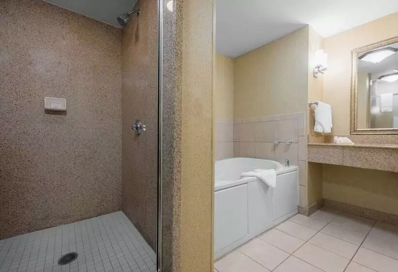 سوییت, Hilton Garden Inn Meridian