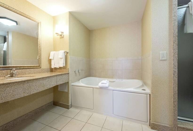 Люкс, Hilton Garden Inn Meridian