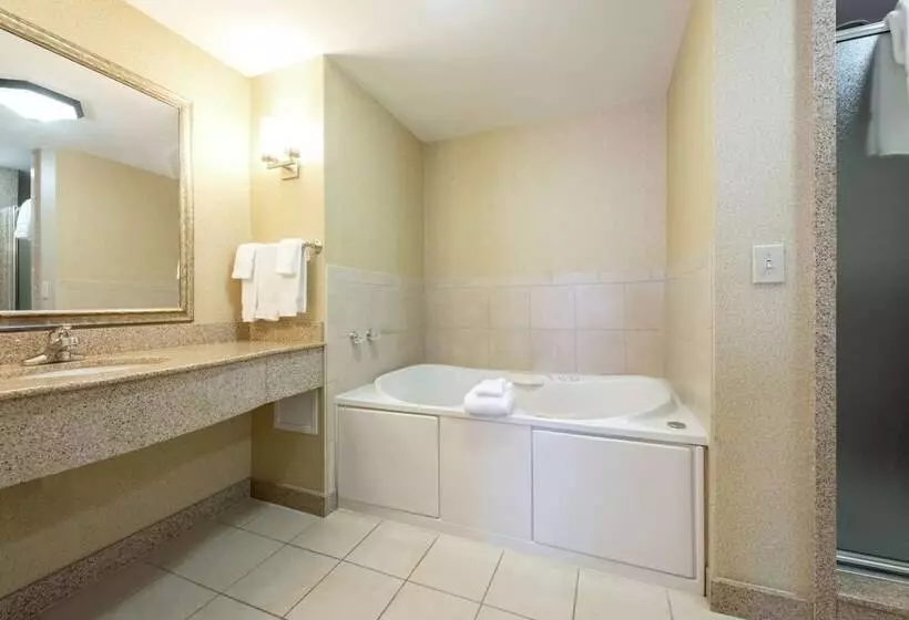سوییت, Hilton Garden Inn Meridian