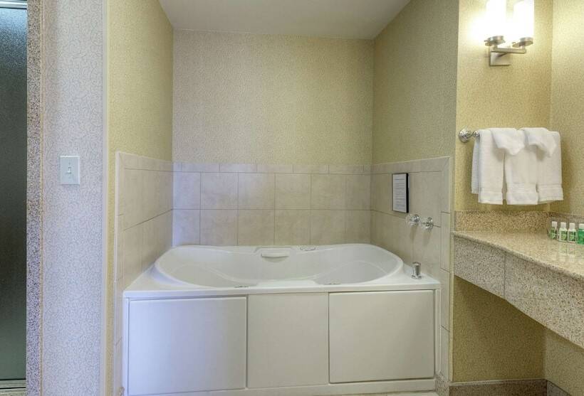 سوییت, Hilton Garden Inn Meridian