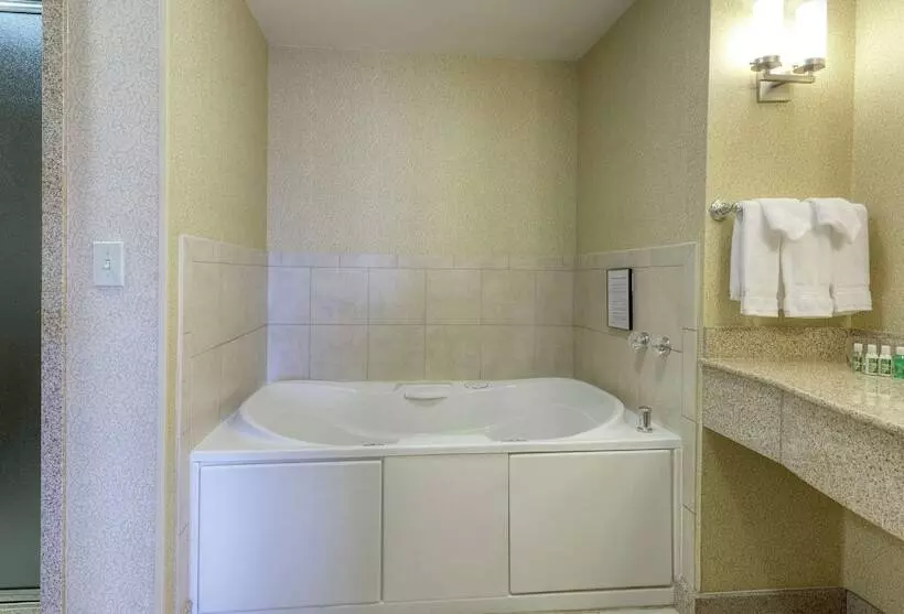 سوییت, Hilton Garden Inn Meridian