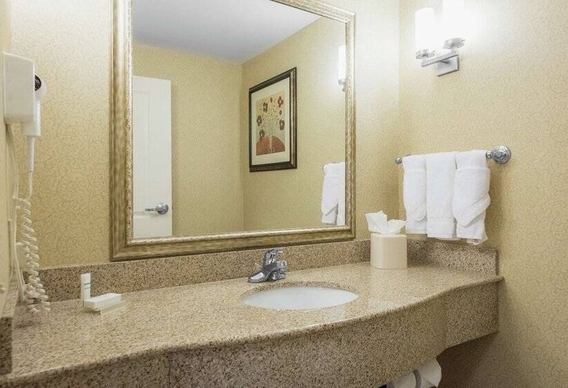 سوییت, Hilton Garden Inn Meridian