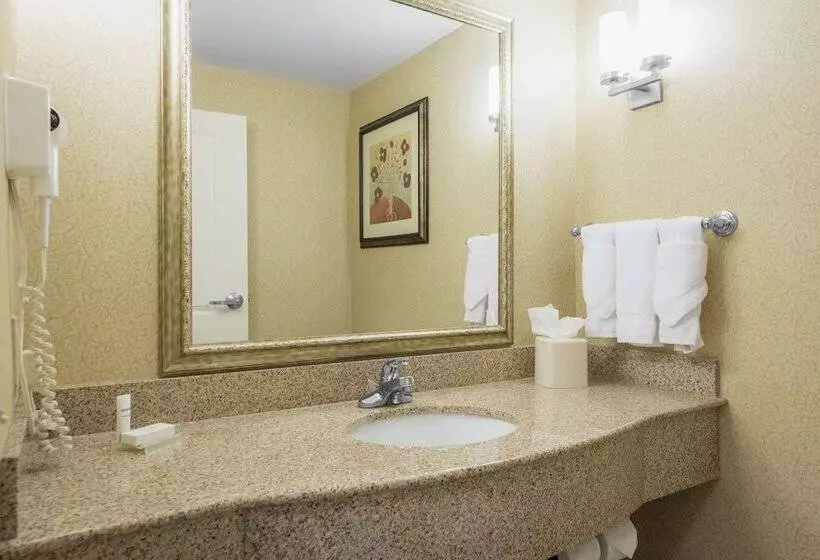 سوییت, Hilton Garden Inn Meridian