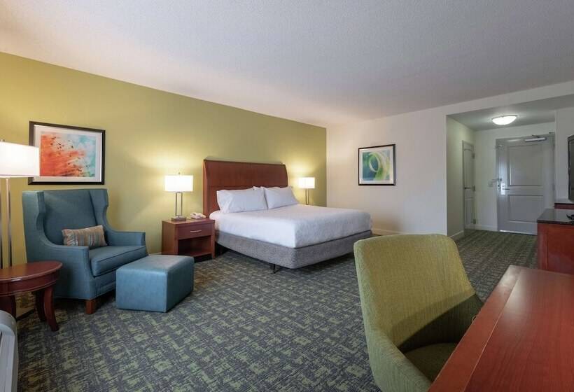 Номер Стандарт Адаптированный для Инвалидов, Hilton Garden Inn Meridian