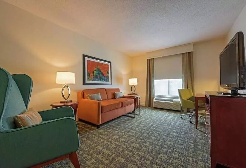 سوییت, Hilton Garden Inn Meridian