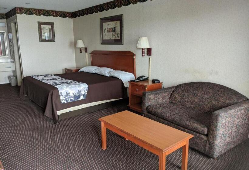 Стандартный Номер Кровать Кинг, Key West Inn   Montgomery South