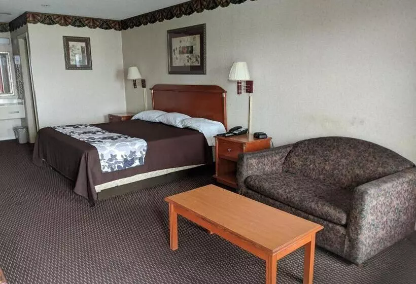 身障者適用キングサイズベッドルーム, Key West Inn   Montgomery South