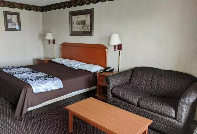 身障者適用キングサイズベッドルーム, Key West Inn   Montgomery South
