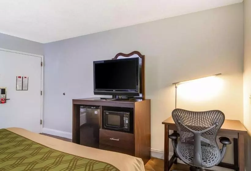 اتاق استاندارد با تخت بزرگ, Surestay Hotel By Best Western Brunswick