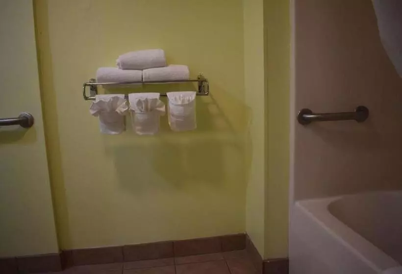 اتاق استاندارد با تخت بزرگ برای معلولان, Surestay Hotel By Best Western Brunswick