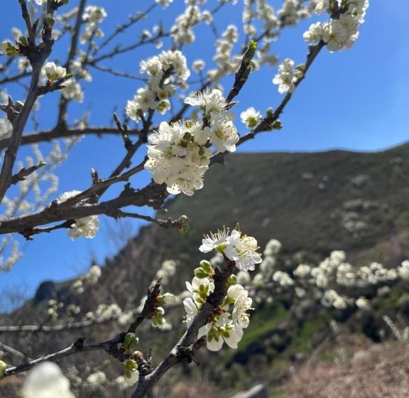 سوئیت با وان آب گرم, Kirch Hotel & Restaurant