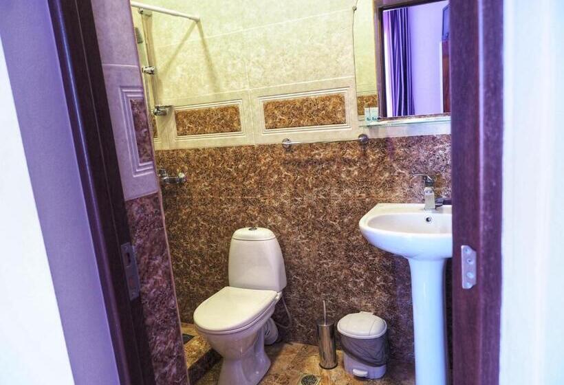 اتاق استاندارد با چشم‌انداز کوهستان, Kirch Hotel & Restaurant