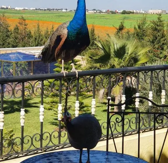 اتاق استاندارد با تخت بزرگ, Riad Tanjil