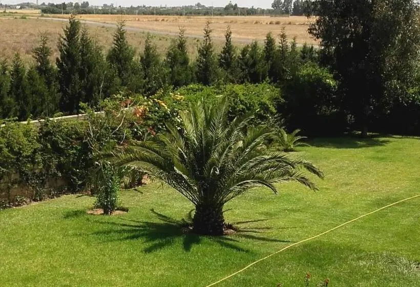 اتاق استاندارد با تخت بزرگ, Riad Tanjil