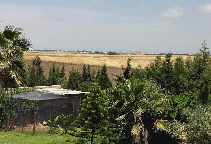 带大床的标准间, Riad Tanjil