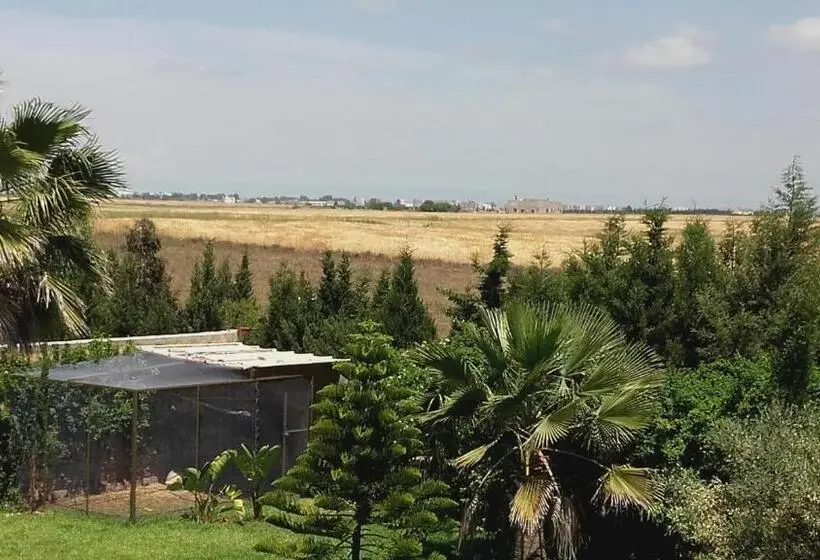 اتاق استاندارد با تخت بزرگ, Riad Tanjil