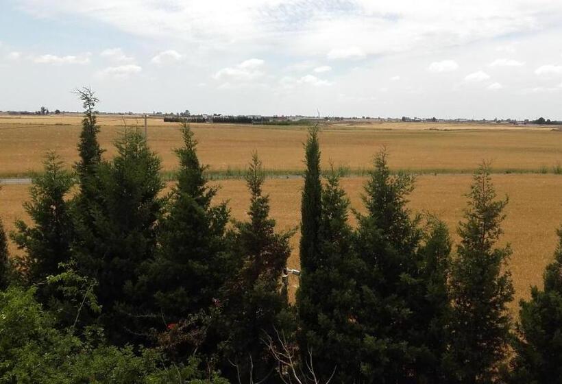 标准间带游泳池, Riad Tanjil