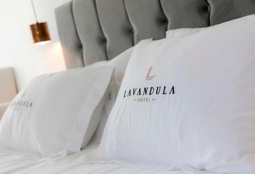 اتاق استاندارد, Levent Lavandula