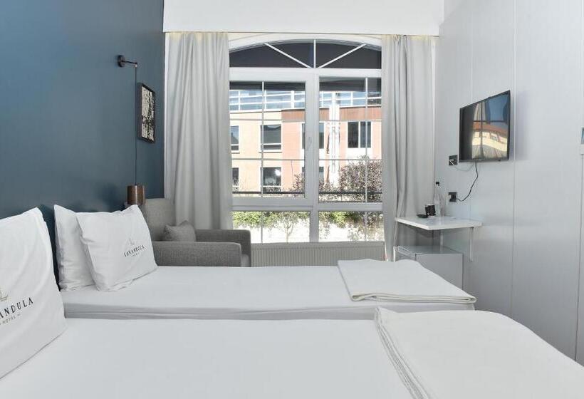 اتاق استاندارد سه نفره, Levent Lavandula